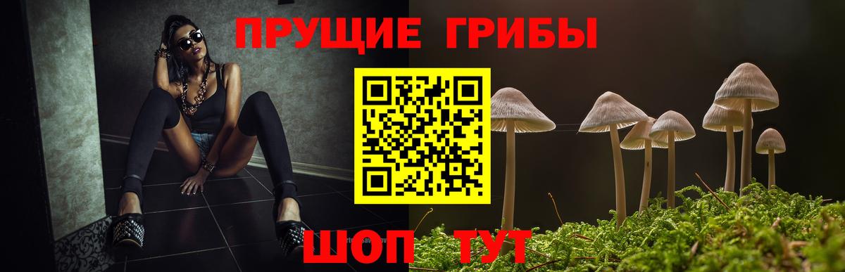 где можно купить   Псилоцибиновые грибы Psilocybine cubensis  Галлюциногенные грибы Psilocybine cubensis  Вход с VPN  Симферополь 